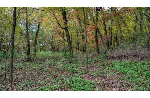 3.11 ACRES Delmore Road, Lyndon Station, WI 53944