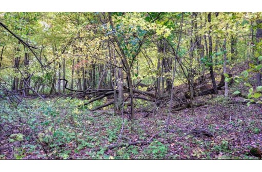 3.11 ACRES Delmore Road, Lyndon Station, WI 53944