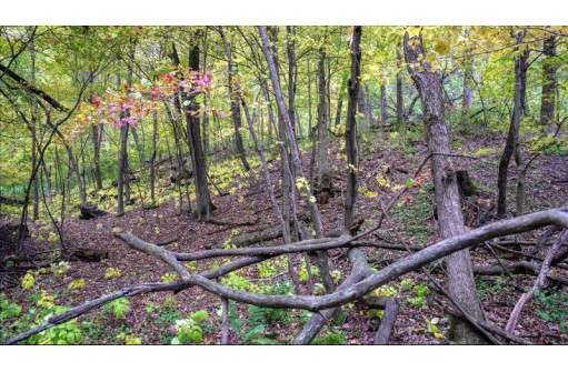 3.11 ACRES Delmore Road, Lyndon Station, WI 53944