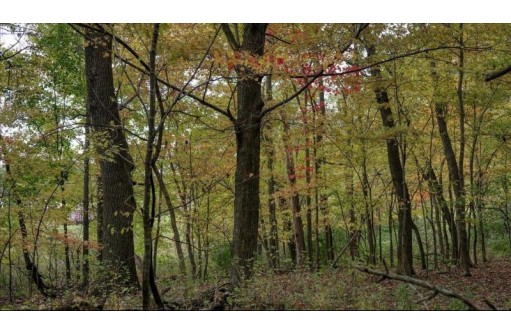 3.11 ACRES Delmore Road, Lyndon Station, WI 53944