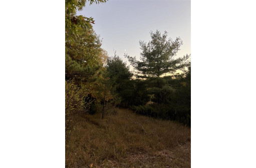 2.52 ACRES County Road F, Wautoma, WI 54982