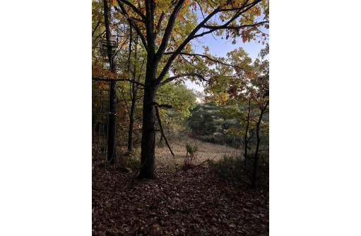 2.52 ACRES County Road F, Wautoma, WI 54982