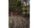 2.52 ACRES County Road F, Wautoma, WI 54982