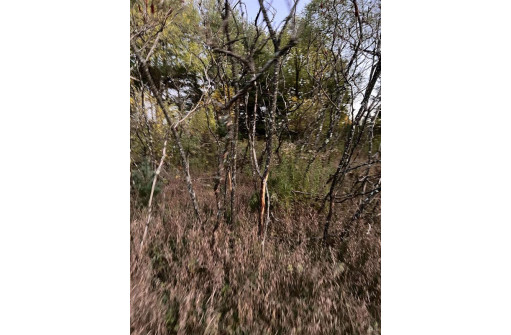 2.52 ACRES County Road F, Wautoma, WI 54982