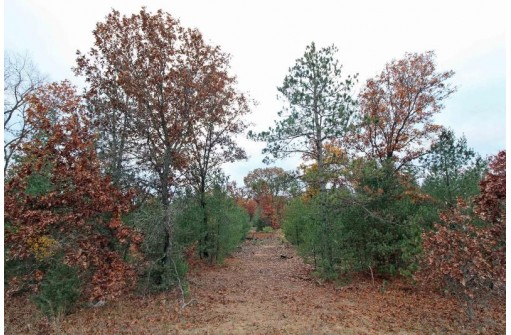 LOT20 Timber Trail, Spring Green, WI 53588