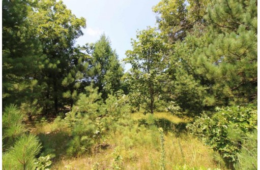 LOT20 Timber Trail, Spring Green, WI 53588