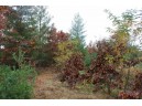 LOT20 Timber Trail, Spring Green, WI 53588