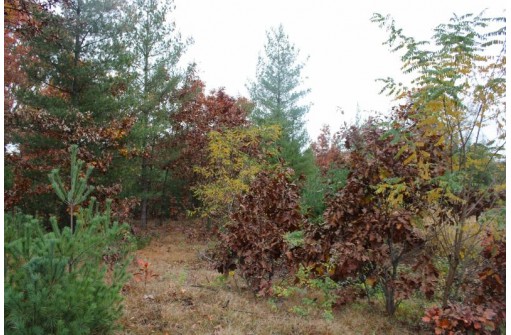 LOT20 Timber Trail, Spring Green, WI 53588