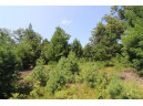 LOT20 Timber Trail, Spring Green, WI 53588