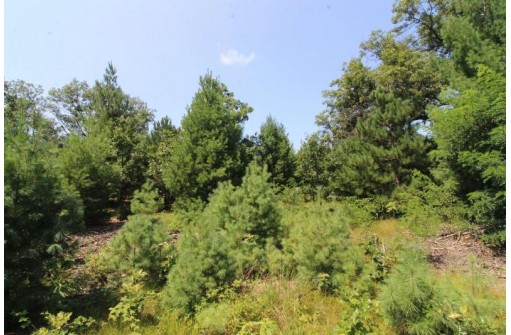 LOT20 Timber Trail, Spring Green, WI 53588