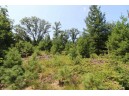 LOT20 Timber Trail, Spring Green, WI 53588