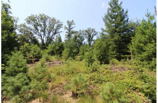 LOT20 Timber Trail, Spring Green, WI 53588