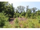 LOT20 Timber Trail, Spring Green, WI 53588