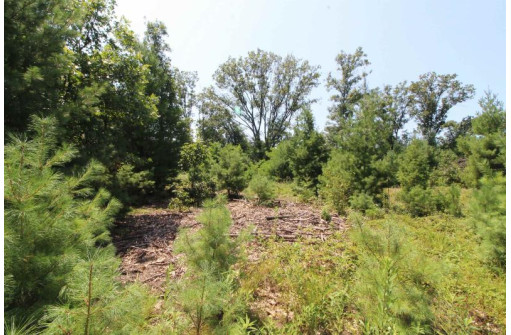 LOT20 Timber Trail, Spring Green, WI 53588