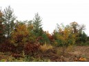 LOT20 Timber Trail, Spring Green, WI 53588