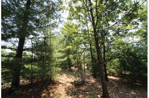 LOT20 Timber Trail, Spring Green, WI 53588