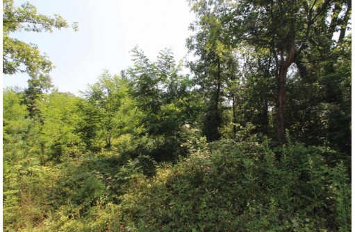 LOT20 Timber Trail, Spring Green, WI 53588