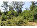 LOT20 Timber Trail, Spring Green, WI 53588