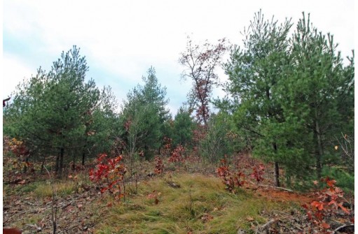 LOT20 Timber Trail, Spring Green, WI 53588