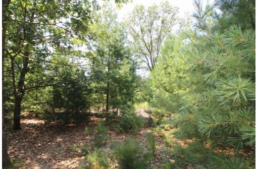 LOT20 Timber Trail, Spring Green, WI 53588