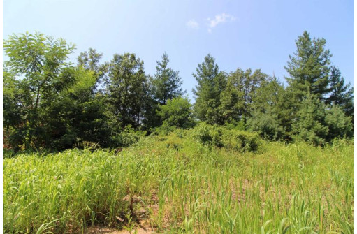 LOT20 Timber Trail, Spring Green, WI 53588