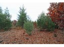 LOT20 Timber Trail, Spring Green, WI 53588