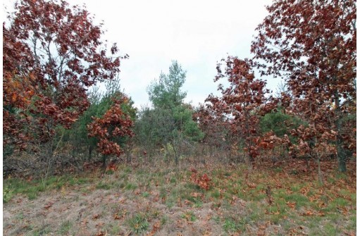 LOT20 Timber Trail, Spring Green, WI 53588