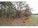 LOT20 Timber Trail, Spring Green, WI 53588