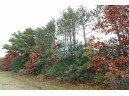 LOT20 Timber Trail, Spring Green, WI 53588