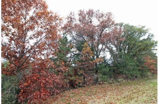 LOT20 Timber Trail, Spring Green, WI 53588