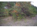 LOT 17 10th Lane, Grand Marsh, WI 53936