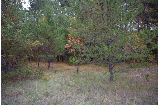 LOT 17 10th Lane, Grand Marsh, WI 53936