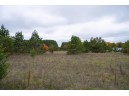 LOT 17 10th Lane, Grand Marsh, WI 53936