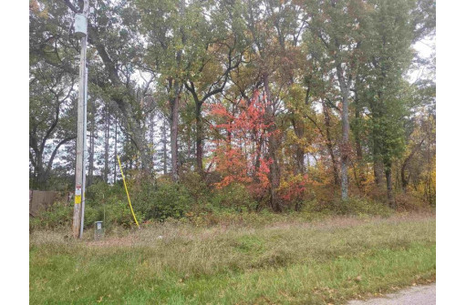 LOT 17 10th Lane, Grand Marsh, WI 53936