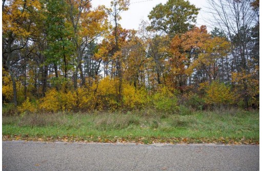 LOT 17 10th Lane, Grand Marsh, WI 53936