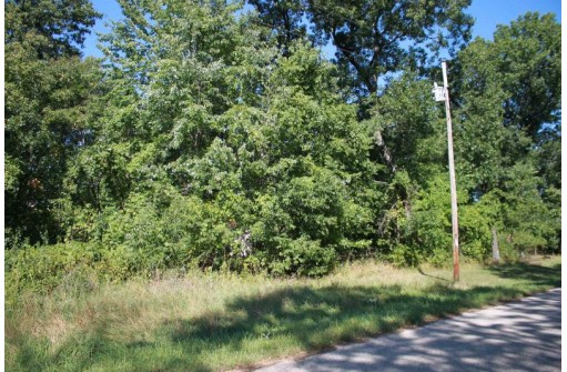 LOT 17 10th Lane, Grand Marsh, WI 53936