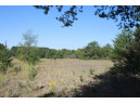 LOT 17 10th Lane, Grand Marsh, WI 53936