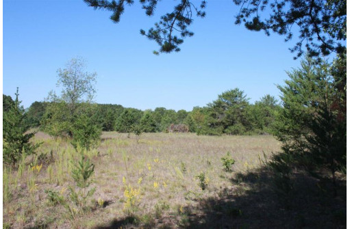 LOT 17 10th Lane, Grand Marsh, WI 53936