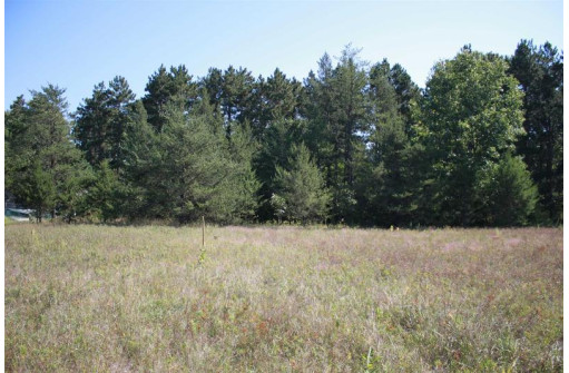 LOT 17 10th Lane, Grand Marsh, WI 53936