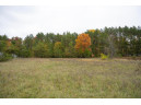 LOT 17 10th Lane, Grand Marsh, WI 53936