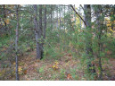 LOT 17 10th Lane, Grand Marsh, WI 53936