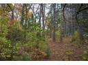 LOT 17 10th Lane, Grand Marsh, WI 53936