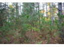 LOT 17 10th Lane, Grand Marsh, WI 53936