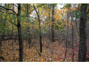 LOT 17 Fawn Drive, Grand Marsh, WI 53936