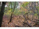 LOT 17 Fawn Drive, Grand Marsh, WI 53936