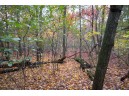 LOT 17 Fawn Drive, Grand Marsh, WI 53936