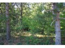 LOT 17 Fawn Drive, Grand Marsh, WI 53936