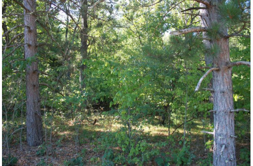 LOT 17 Fawn Drive, Grand Marsh, WI 53936