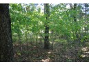 LOT 17 Fawn Drive, Grand Marsh, WI 53936