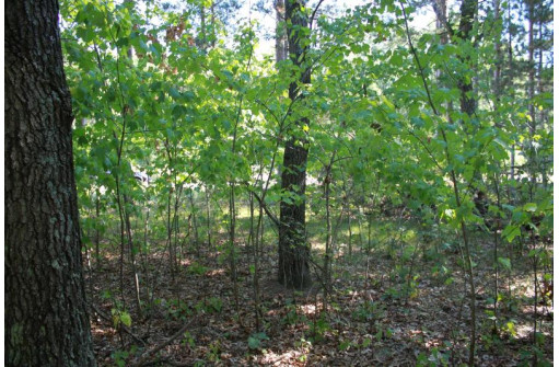 LOT 17 Fawn Drive, Grand Marsh, WI 53936